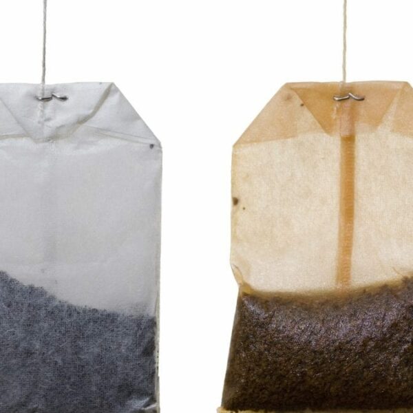 tea bag